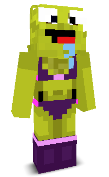 User's Minecraft appearance