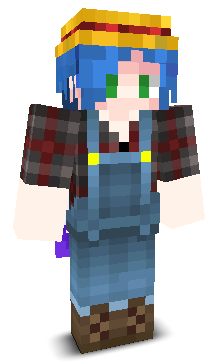 User's Minecraft appearance