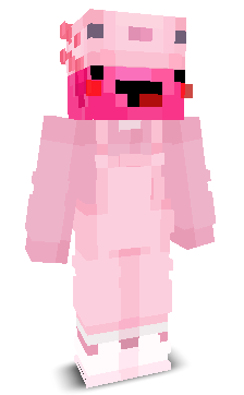 User's Minecraft appearance