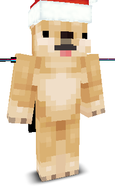 User's Minecraft appearance