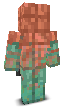 User's Minecraft appearance