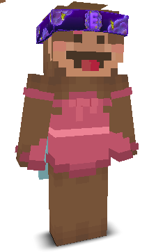User's Minecraft appearance
