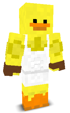 User's Minecraft appearance