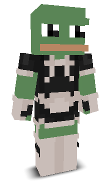 User's Minecraft appearance
