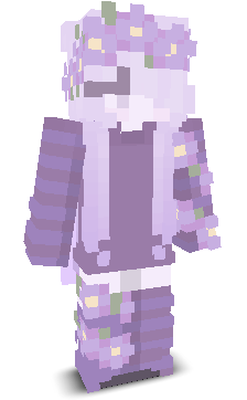 User's Minecraft appearance