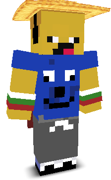 User's Minecraft appearance