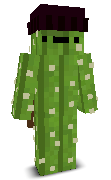 User's Minecraft appearance