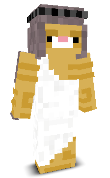 User's Minecraft appearance