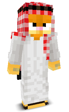 User's Minecraft appearance