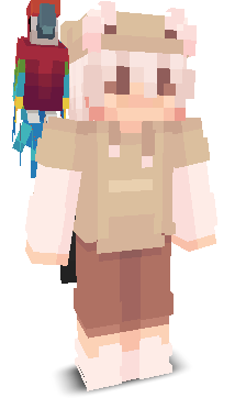 User's Minecraft appearance