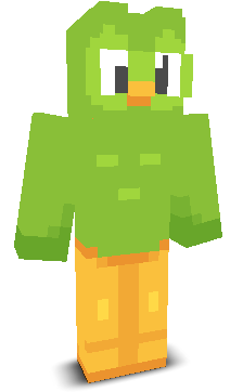 User's Minecraft appearance
