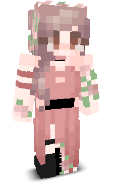 User's Minecraft appearance