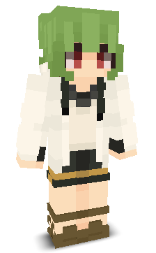 User's Minecraft appearance