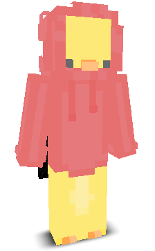 User's Minecraft appearance