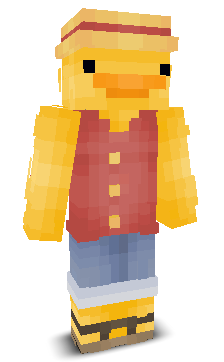 User's Minecraft appearance