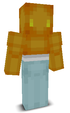 User's Minecraft appearance