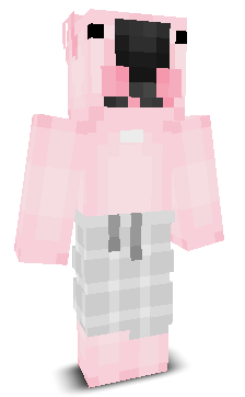 User's Minecraft appearance