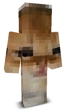 User's Minecraft appearance