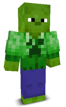 User's Minecraft appearance
