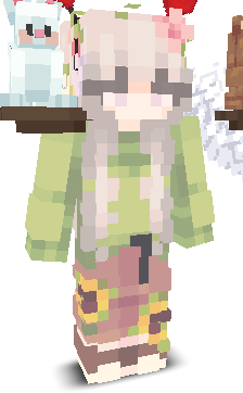 User's Minecraft appearance