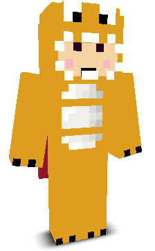 User's Minecraft appearance