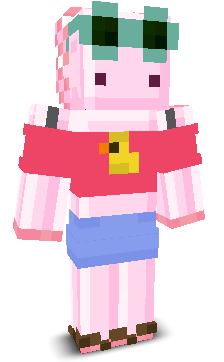 User's Minecraft appearance
