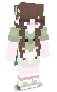 User's Minecraft appearance