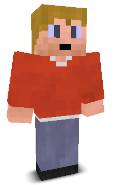 User's Minecraft appearance