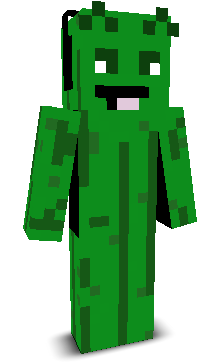 User's Minecraft appearance