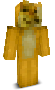 User's Minecraft appearance
