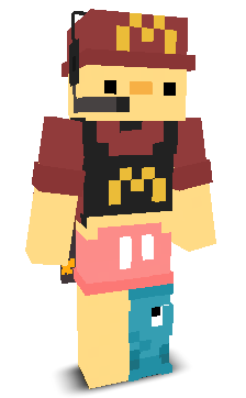 User's Minecraft appearance