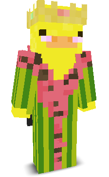 User's Minecraft appearance