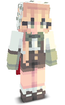 User's Minecraft appearance