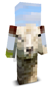 User's Minecraft appearance