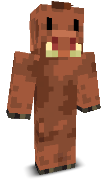 User's Minecraft appearance