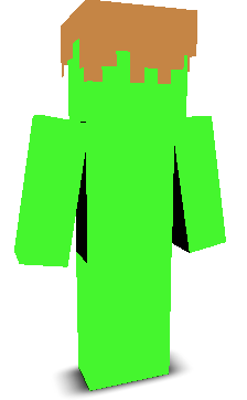 User's Minecraft appearance