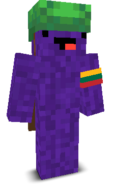 User's Minecraft appearance