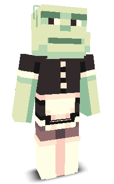 User's Minecraft appearance