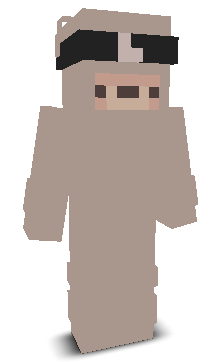 User's Minecraft appearance