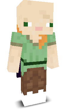 User's Minecraft appearance