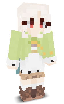User's Minecraft appearance