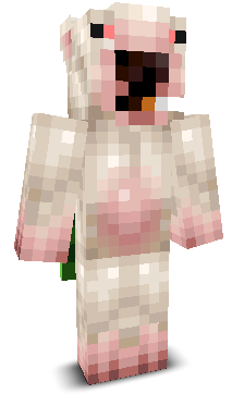 User's Minecraft appearance