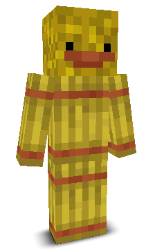 User's Minecraft appearance