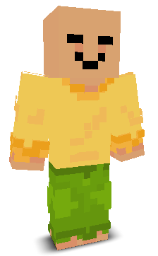 User's Minecraft appearance