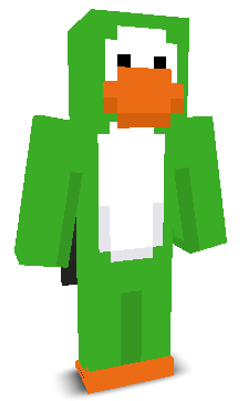 User's Minecraft appearance