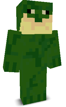 User's Minecraft appearance