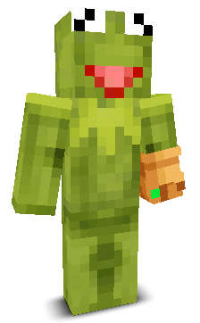 User's Minecraft appearance