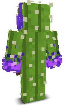 User's Minecraft appearance