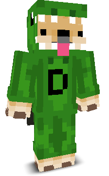 User's Minecraft appearance