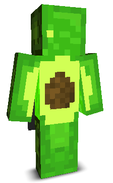 User's Minecraft appearance